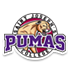 https://img.east88phuket.com/img/basketball/team/290c96d7d59e4bfdb2a13e91f4785278.png